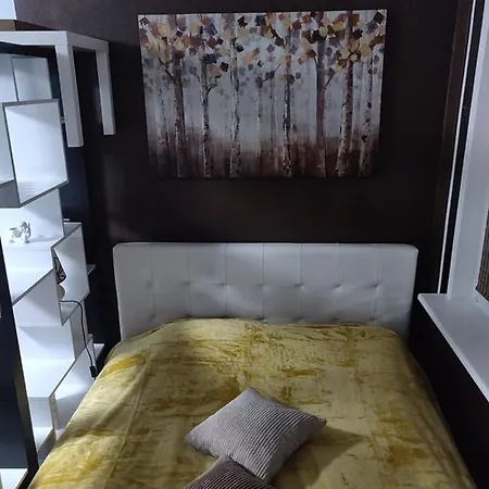 Patogi Ir Jauki Viesnage Apartament *